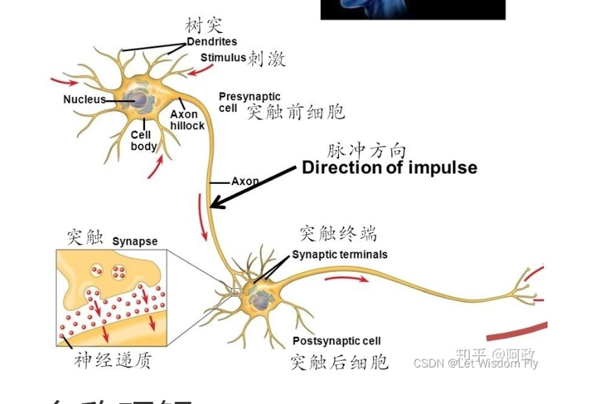 image-20221024104619671