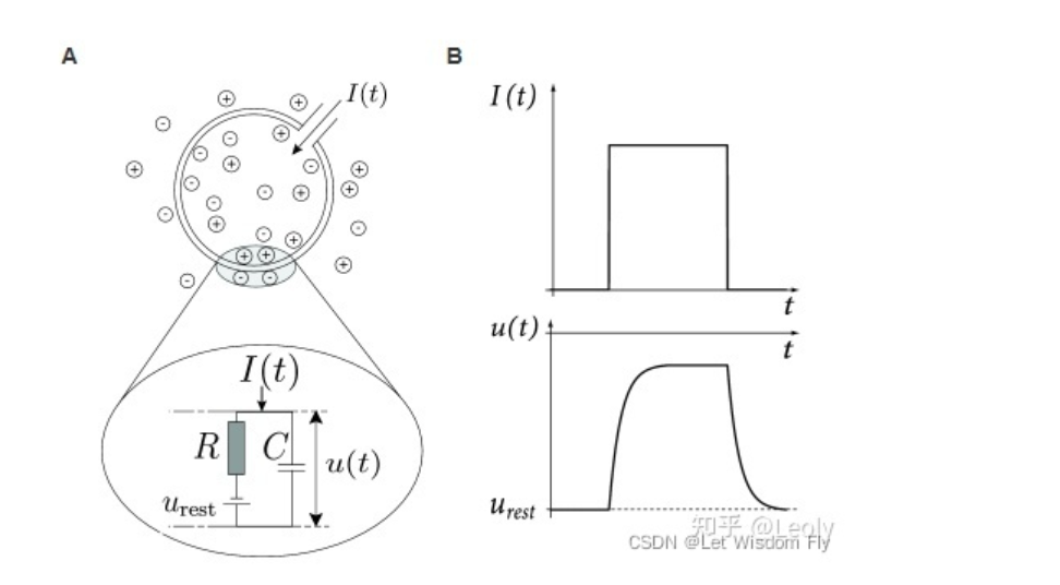 image-20221024104816419