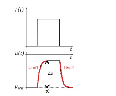 image-20221024141233494